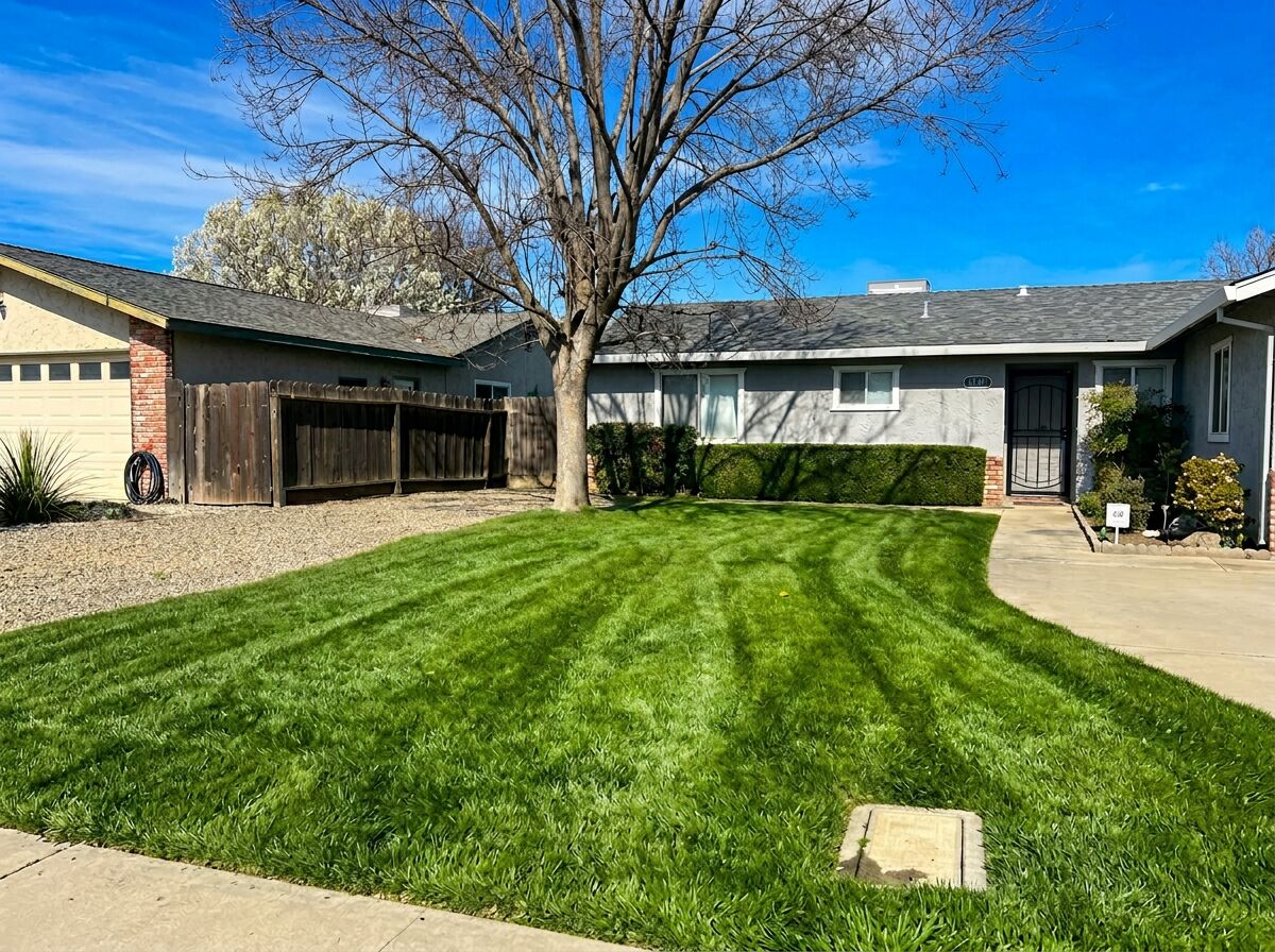 Front lawn freshly mowed with curved walkway