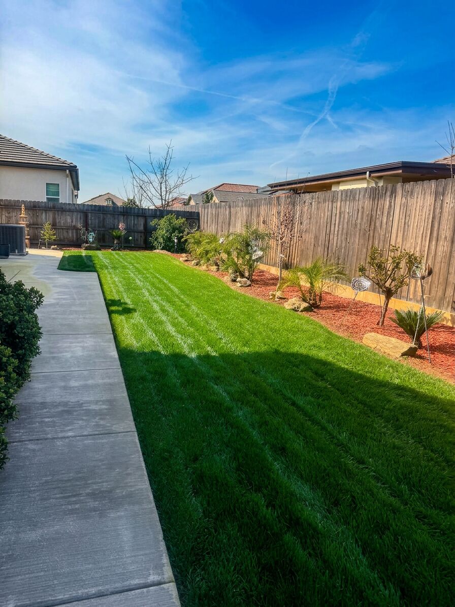 Backyard side lawn with crisp mow stripes and mulched garden beds